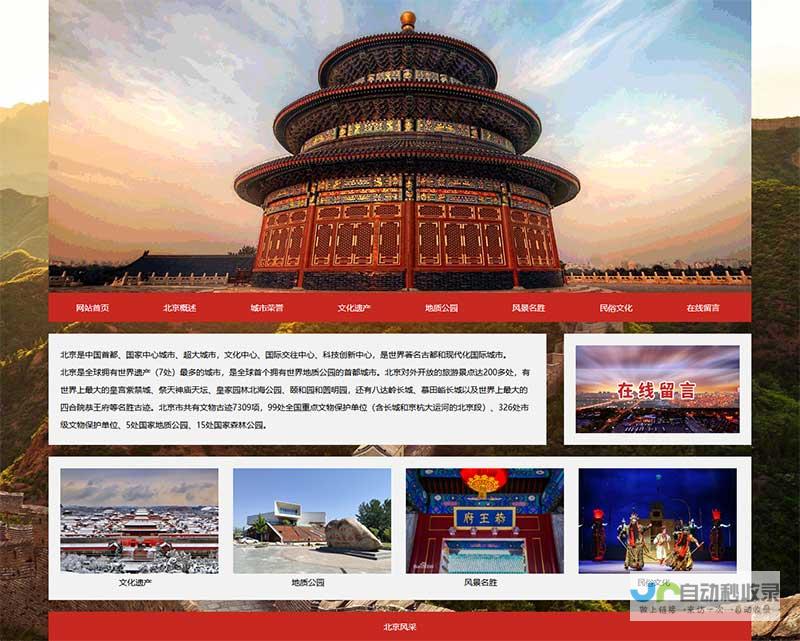 专业的网站建设解决方案